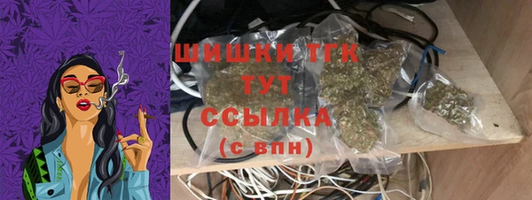 соль ск Алзамай